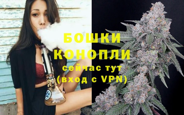 бутират Богданович