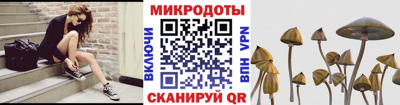 Псилоцибиновые грибы мухоморы  Мелеуз 